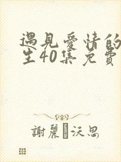 遇见爱情的利先生40集免费播放