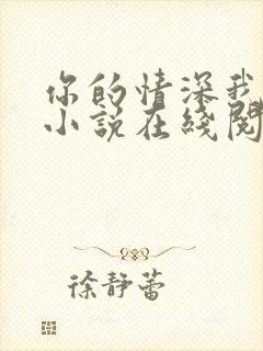 你的情深我不配小说在线阅读