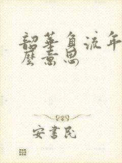 韶华负流年是什么意思