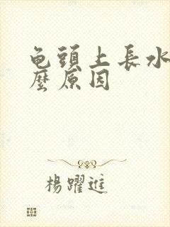 龟头上长水泡什么原因