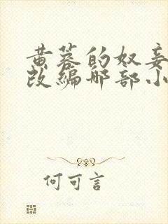 黄蓉的奴妾小说改编哪部小说