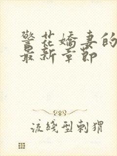 警花娇妻的蜕变最新章节