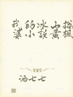 我的冰山总裁老婆小说黄枫雨天