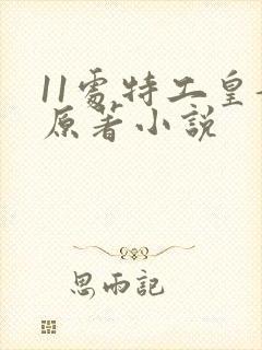 11处特工皇妃原著小说