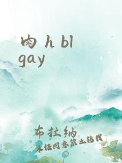 肉 h bl gay