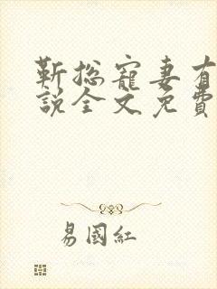 靳总宠妻有度小说全文免费阅读