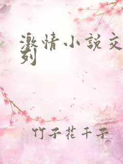 激情小说交换系列