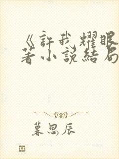 《许我耀眼》原著小说结局