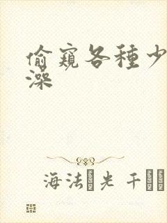 偷窥各种少妇洗澡