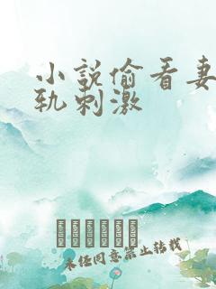 小说偷看妻子出轨刺激