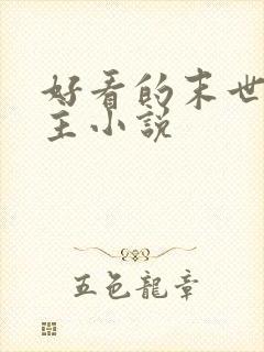 好看的末世双男主小说