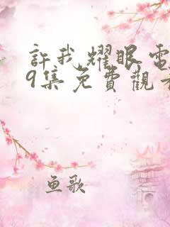 许我耀眼电视剧9集免费观看