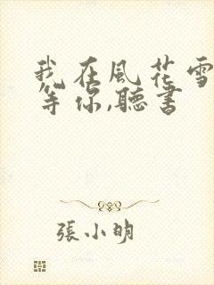 我在风花雪月里等你,听书