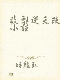 苏梨逆天改命 小说