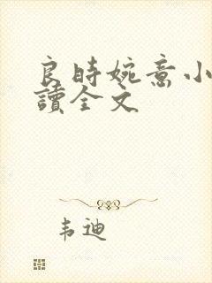 良时婉意小说阅读全文