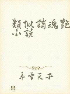 类似销魂艳婢的小说