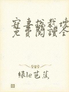 宠妻总裁坏透了免费阅读全文