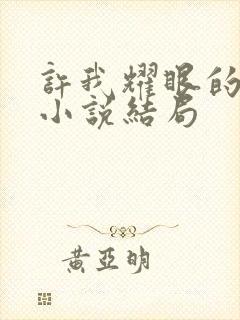 许我耀眼的原著小说结局