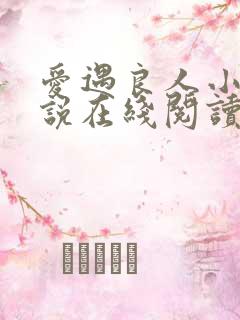 爱遇良人小可小说在线阅读免费