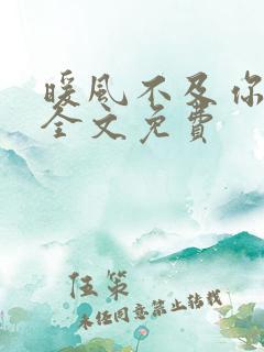 暖风不及你深情全文免费