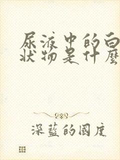 尿液中的白色絮状物是什么