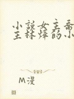 小说女主乔念男主林烨的小说