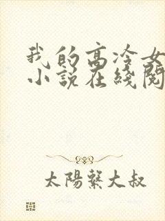 我的高冷女总裁小说在线阅读