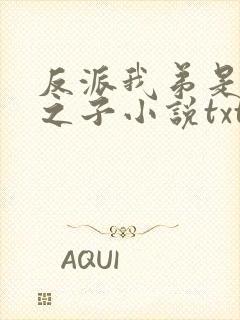 反派我弟是天选之子小说txt