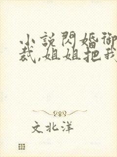 小说闪婚御姐总裁,姐姐把我宠上天