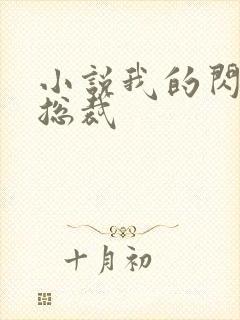 小说我的闪婚女总裁