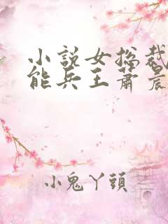 小说女总裁的全能兵王萧晨完全版