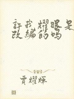 许我耀眼是小说改编的吗