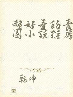 超好看的青春校园小说推荐