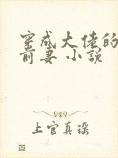 穿成大佬的私奔前妻 小说