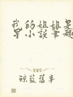 我的姐姐是大明星小说笔趣阁