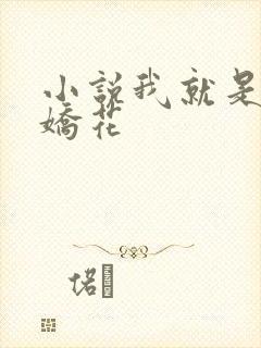 小说我就是如此娇花