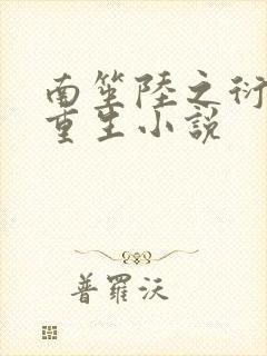 南笙陆之衍宋枭重生小说