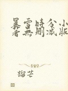 暴雪时分小说原著无删减版