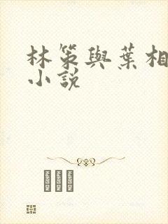 林策与叶相思的小说