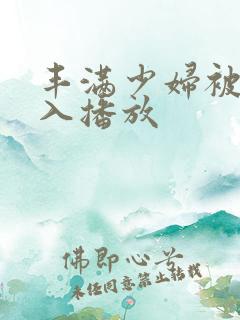 丰满少妇被猛进入播放