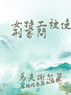 女特工被使用电刑审问