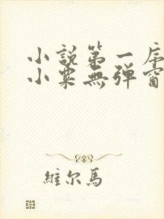 小说第一序列任小粟无弹窗无广告