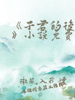 《子君的后半生》小说免费阅读