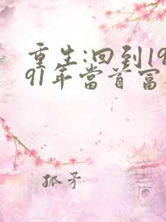 重生:回到1991年当首富听书