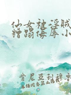 仙女被淫贼强行糟蹋侮辱小说情节