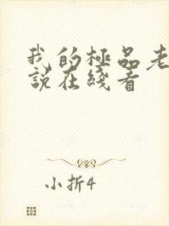 我的极品老婆小说在线看