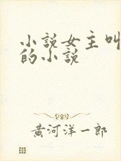 小说女主叫乔念的小说