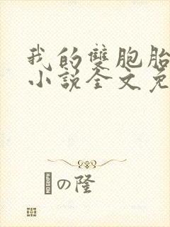 我的双胞胎老婆小说全文免费阅读