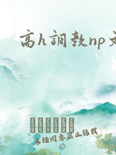 高h调教np文