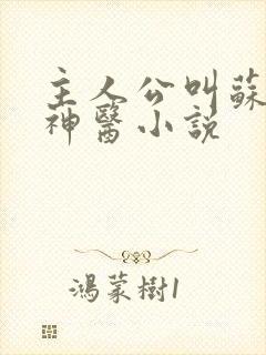 主人公叫苏辰的神医小说